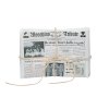 THE NEWSPAPER BAG